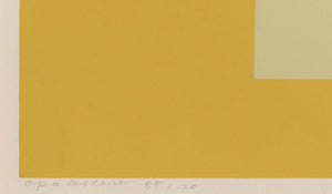 Opalescent Screenprint | Josef Albers,{{product.type}}