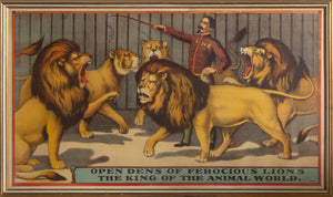 Open Dens of Ferocious Lions, the King of the Animal World Poster | Unknown Artist,{{product.type}}