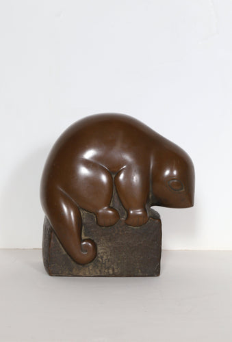 Opossum Plastic | Marian Weisberg,{{product.type}}