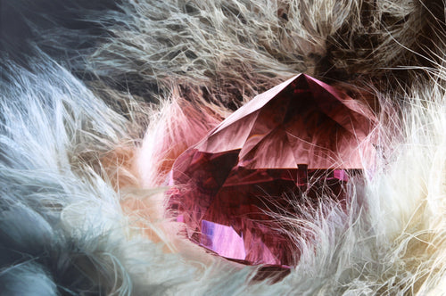 Oracle Oil | Ben Weiner,{{product.type}}