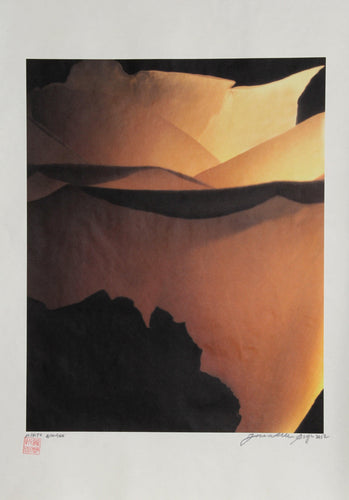 Orange Rose Color | Jonathan Singer,{{product.type}}