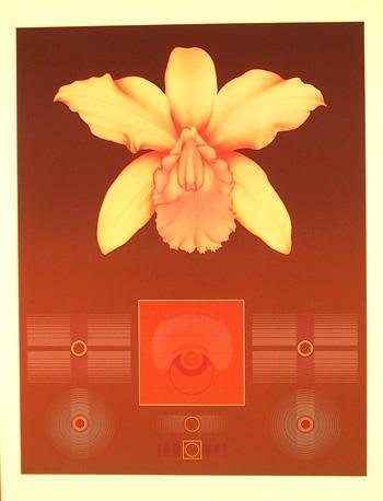 Orchid Matrix I Screenprint | David Haidle,{{product.type}}