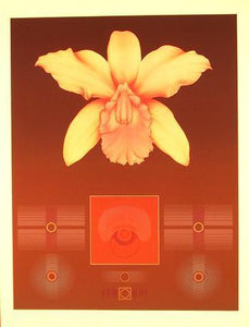 Orchid Matrix I Screenprint | David Haidle,{{product.type}}