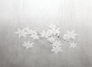 Ornithogalum Etching | Gunnar Norrman,{{product.type}}