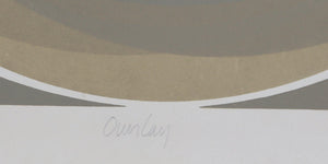 Overlay screenprint | Joan Hartness,{{product.type}}