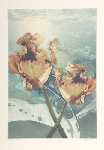 Pair of Tricks Digital | Michael Knigin,{{product.type}}