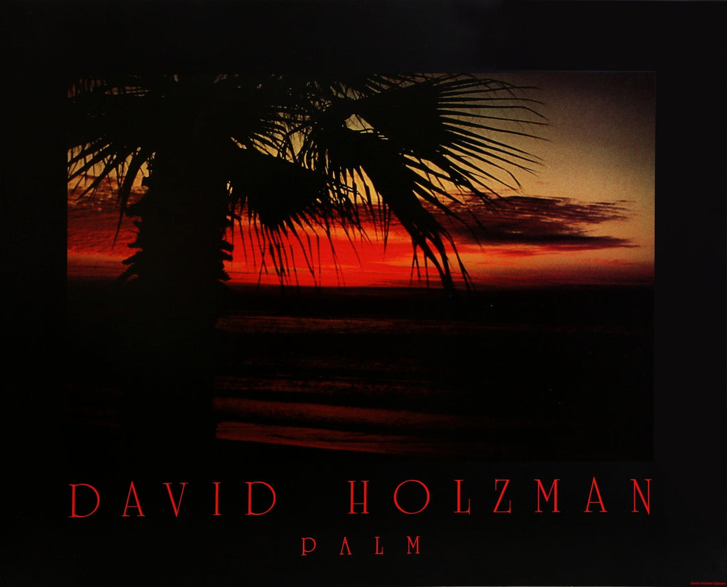 Palm Poster | David Holzman,{{product.type}}