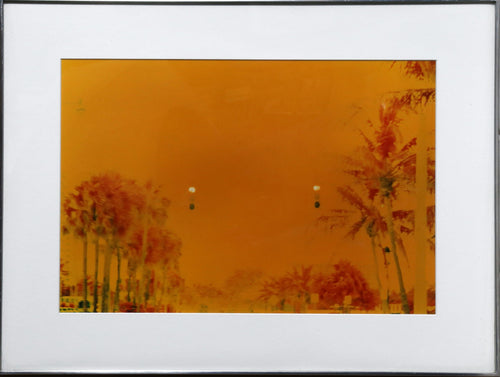 Palm Trees Color | Alan Dennis,{{product.type}}