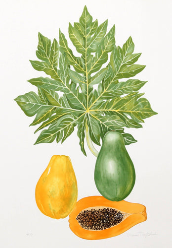 Papaya Lithograph | Marion Sheehan,{{product.type}}