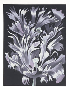 Parrot Tulip on Black Screenprint | Lowell Blair Nesbitt,{{product.type}}
