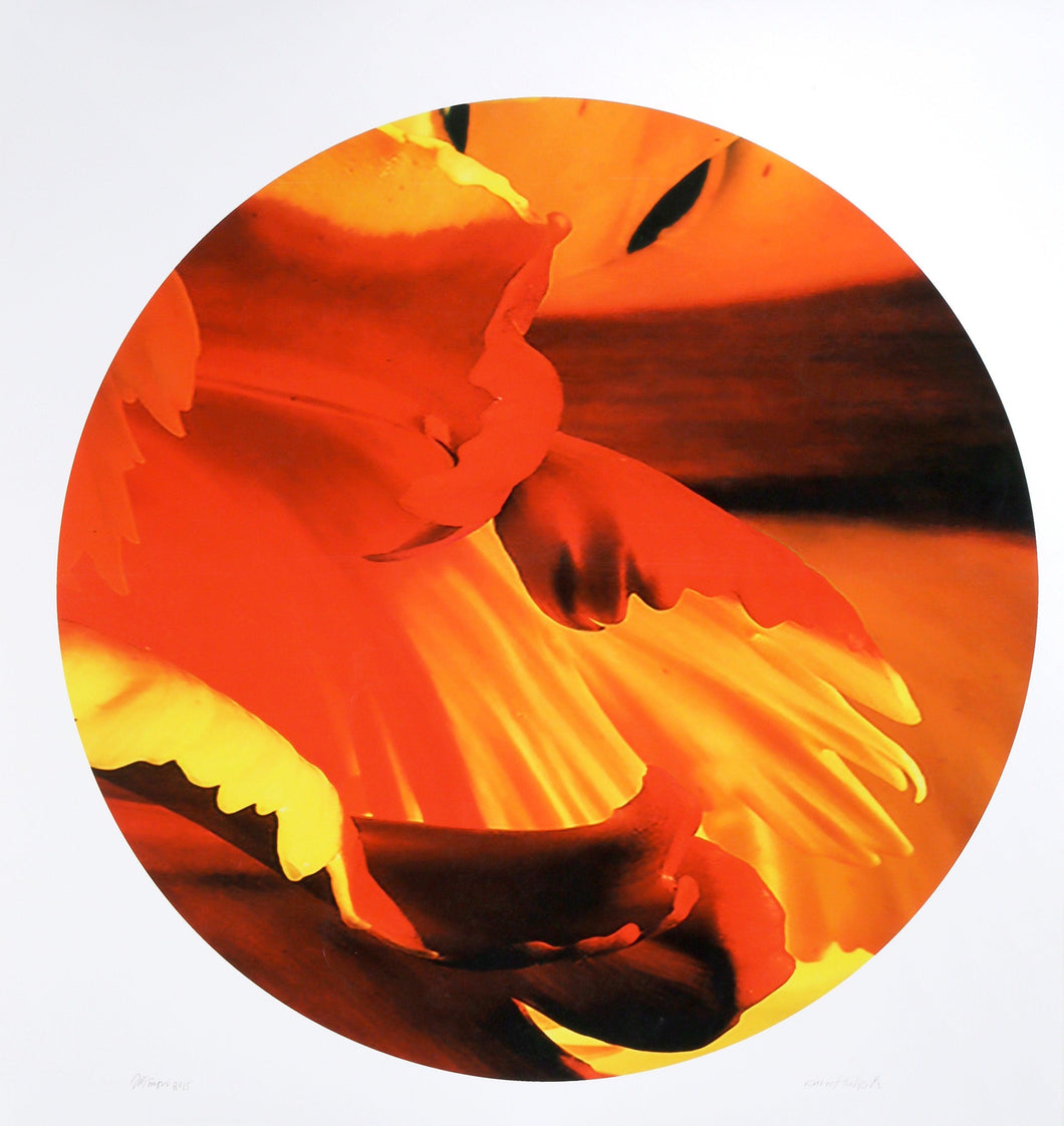 Parrot Tulip Tondo Digital | Jonathan Singer,{{product.type}}