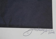 Paya Color | Jonathan Singer,{{product.type}}