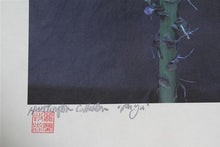 Paya Color | Jonathan Singer,{{product.type}}