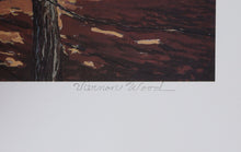 Peace Valley Lithograph | Vernon Wood,{{product.type}}