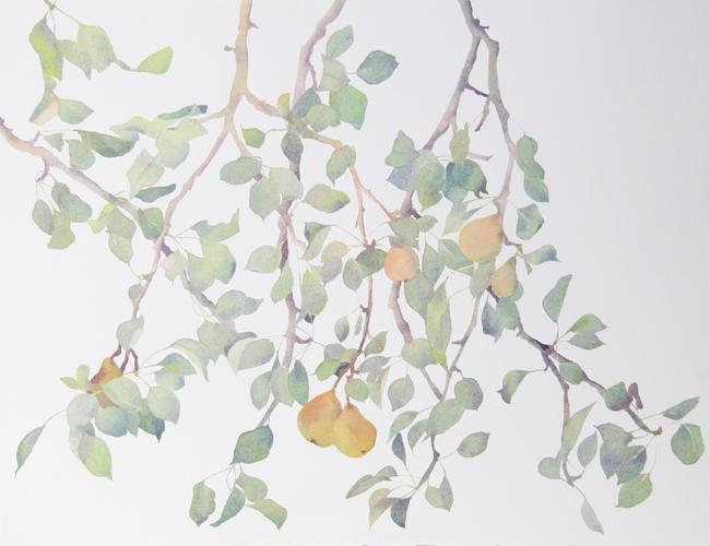 Pear Tree Lithograph | Susan Headley van Campen,{{product.type}}