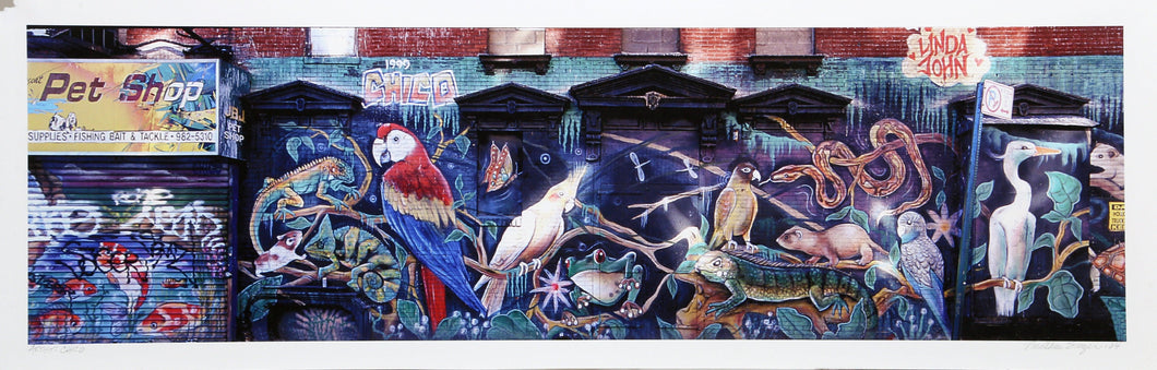 Pet Shop Mural (Chico), NYC from the Graffiti Series Digital | Jonathan Singer,{{product.type}}