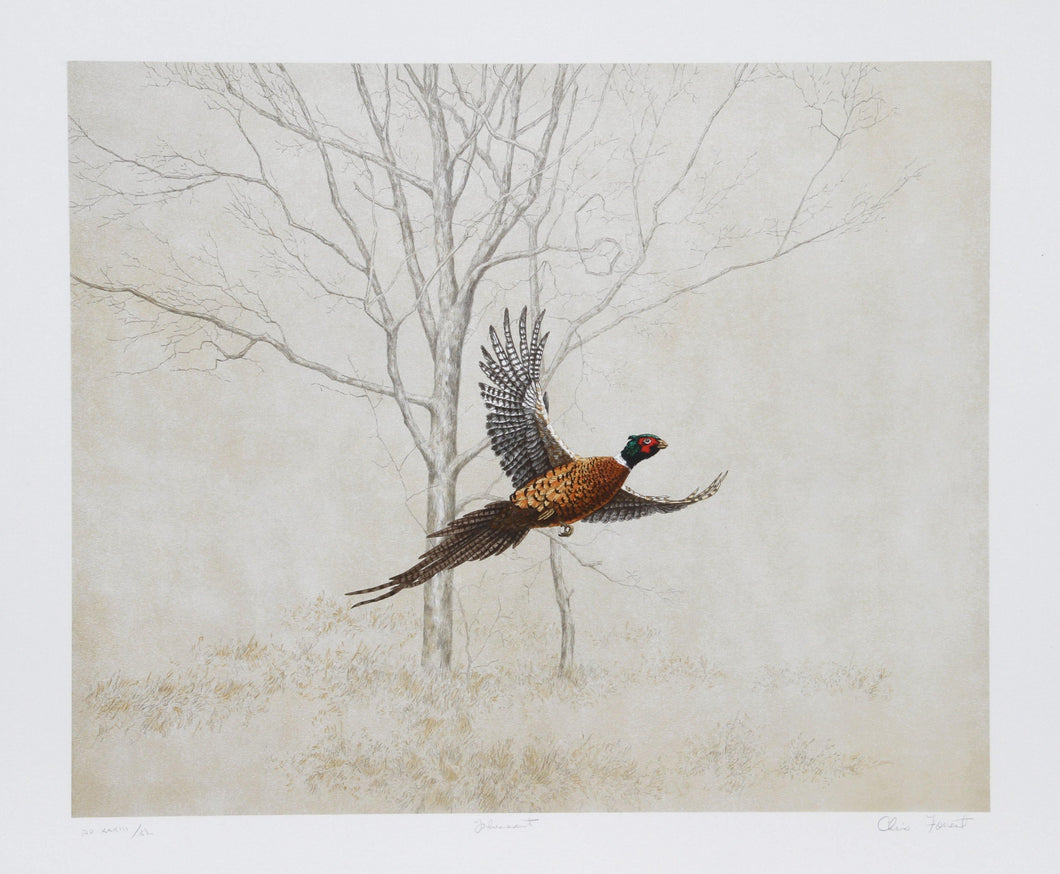 Pheasant Lithograph | Chris Forrest,{{product.type}}