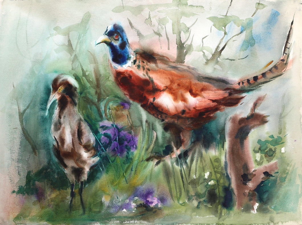 Pheasant (P6.21) Watercolor | Eve Nethercott,{{product.type}}
