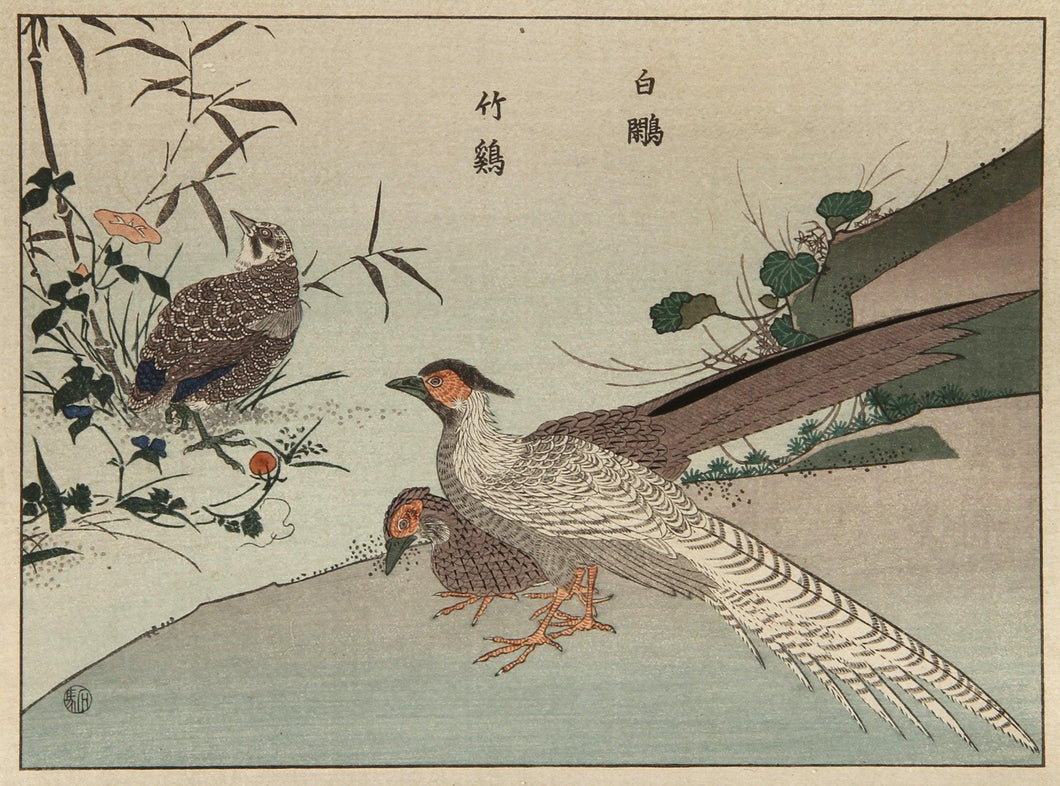 Pheasants Etching | Unknown, Japanese,{{product.type}}