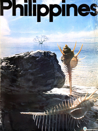 Philippines - Shells on the Beach Poster | Travel Poster,{{product.type}}