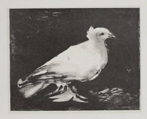 Pigeon Poster | Pablo Picasso,{{product.type}}