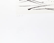 Pigeons Lithograph | Pablo Picasso,{{product.type}}