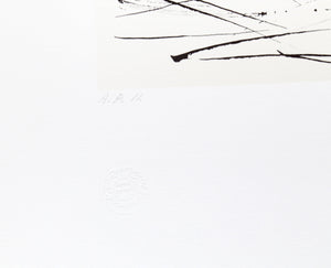 Pigeons Lithograph | Pablo Picasso,{{product.type}}
