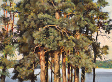 Pine Trees Acrylic | Erik Freyman,{{product.type}}