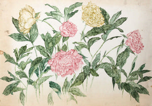 Pink and Yellow Chrysanthemums Watercolor | Carl Bergman,{{product.type}}