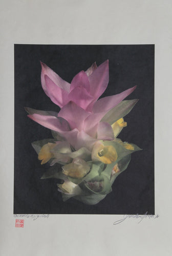 Pink Bloom Color | Jonathan Singer,{{product.type}}