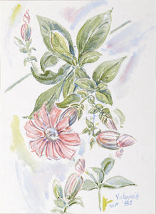 Pink Flower Watercolor | Charles Blaze Vukovich,{{product.type}}
