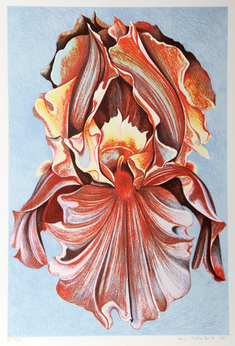 Pink Iris Screenprint | Lowell Blair Nesbitt,{{product.type}}