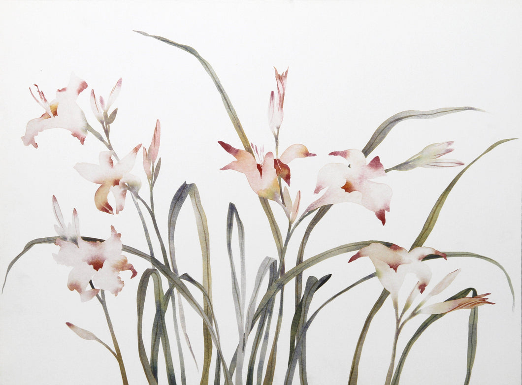 Pink Lilies Lithograph | Susan Headley van Campen,{{product.type}}