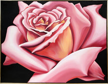 Pink Rose Oil | Lowell Blair Nesbitt,{{product.type}}