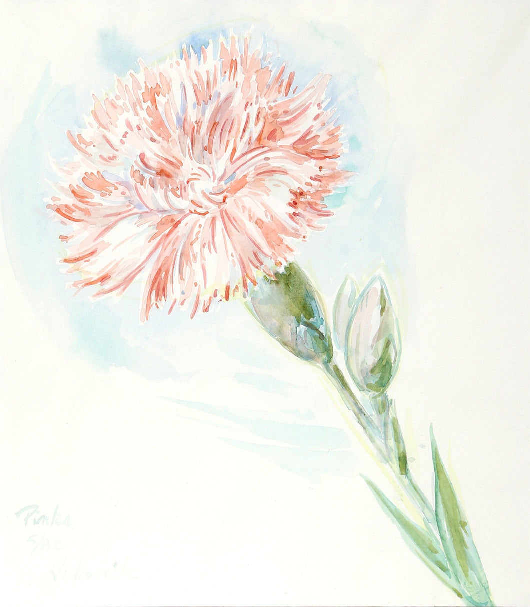 Pinks (Carnation) Watercolor | Charles Blaze Vukovich,{{product.type}}