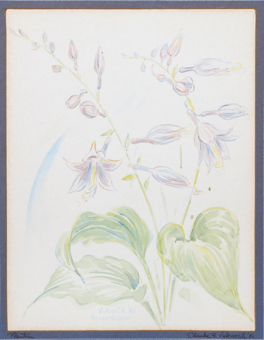 Plantain Watercolor | Charles Blaze Vukovich,{{product.type}}