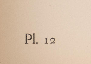 Plate 12, Tete De Femme De Profil Lithograph | Henri de Toulouse-Lautrec,{{product.type}}