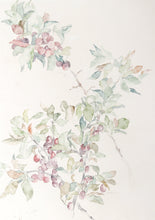 Plums Watercolor | Carl Bergman,{{product.type}}