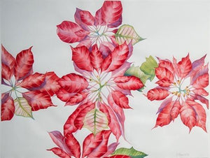 Poinsettia Watercolor | Regan Malone,{{product.type}}