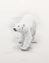 Polar Bear Lithograph | Charles Fracé,{{product.type}}