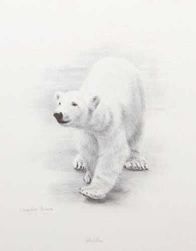 Polar Bear Lithograph | Charles Fracé,{{product.type}}