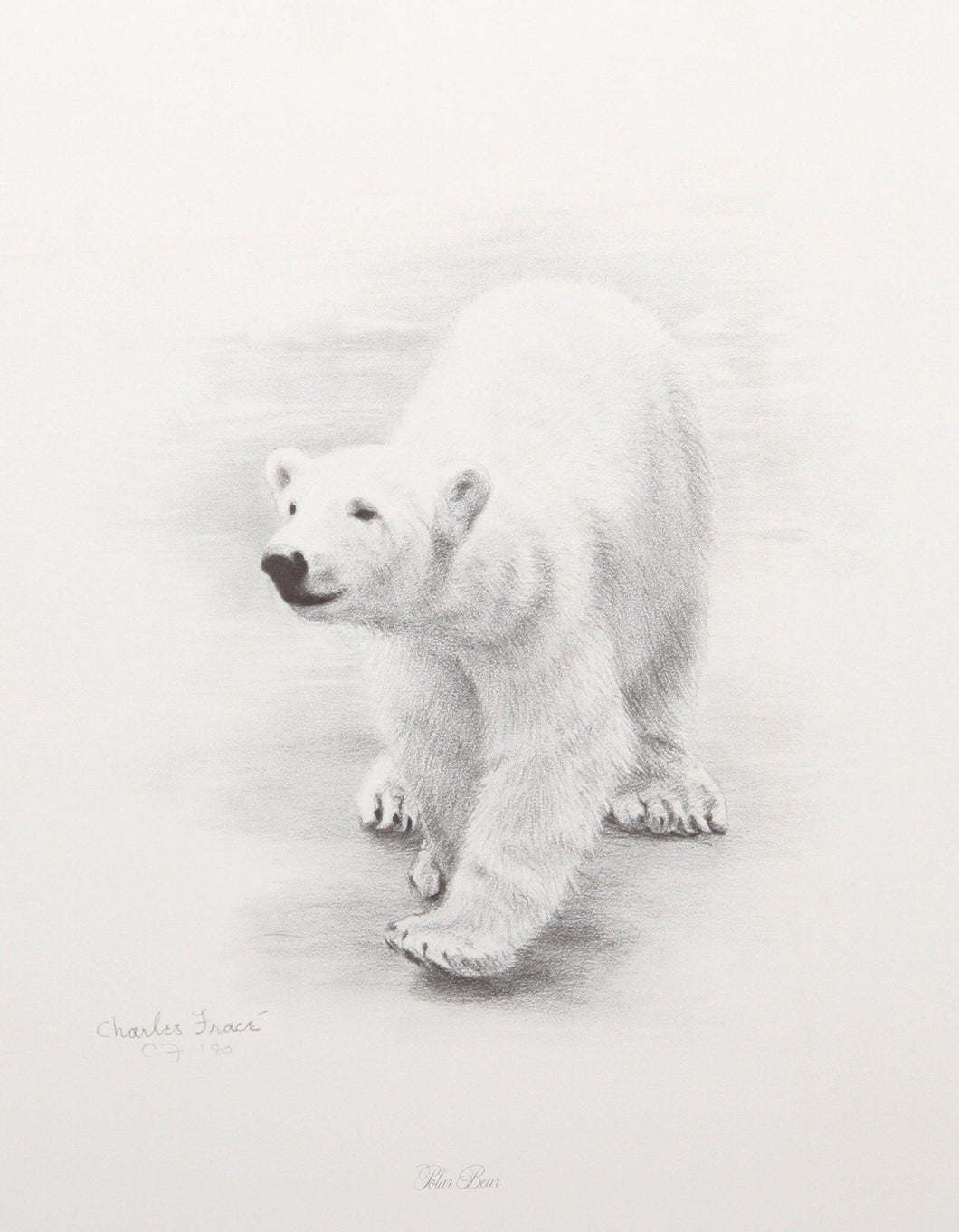 Polar Bear Lithograph | Charles Fracé,{{product.type}}