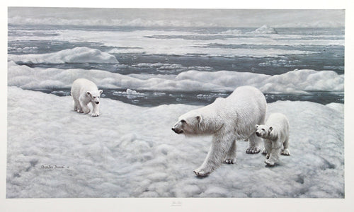 Polar Bears Lithograph | Charles Fracé,{{product.type}}