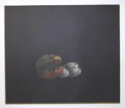 Pomegranate and Eggs Etching | Tomoe Yokoi,{{product.type}}