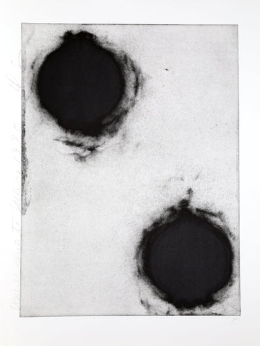 Pomegranates II Etching | Donald Sultan,{{product.type}}