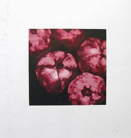 Pomegranates Screenprint | Donald Sultan,{{product.type}}