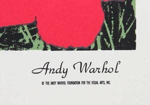 Poppy Flowers for the Museu de Arte de Moderna, Sao Paulo Screenprint | Andy Warhol,{{product.type}}