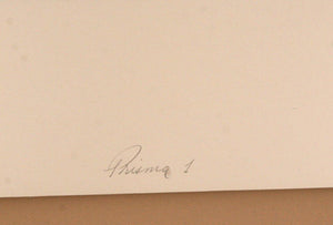 Prima I Screenprint | Elba Alvarez,{{product.type}}