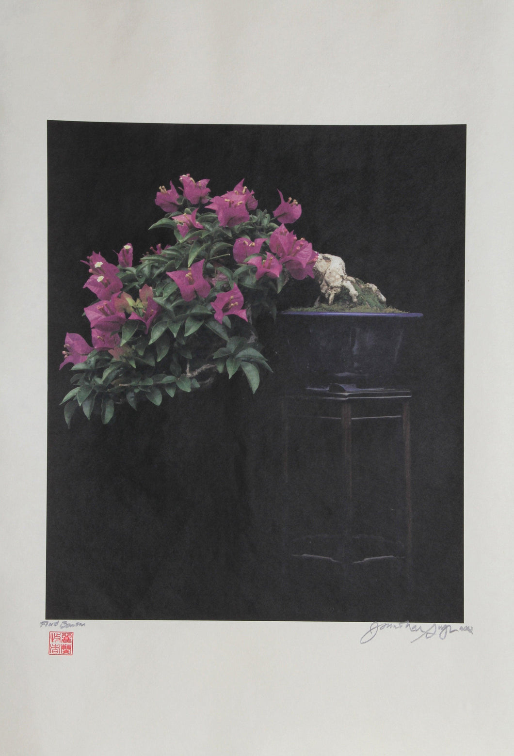Purple Bonsai Color | Jonathan Singer,{{product.type}}