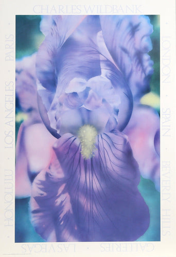 Purple Iris Poster | Charles Wildbank,{{product.type}}